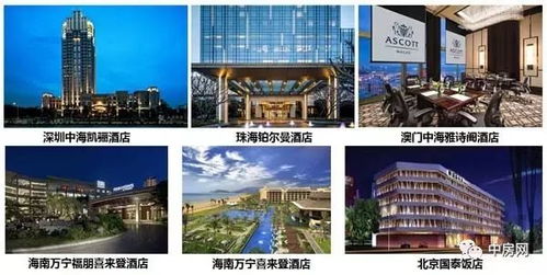 中海商業(yè)榮膺2017中國房地產(chǎn)開發(fā)企業(yè)品牌價(jià)值商業(yè)10強(qiáng)第三名